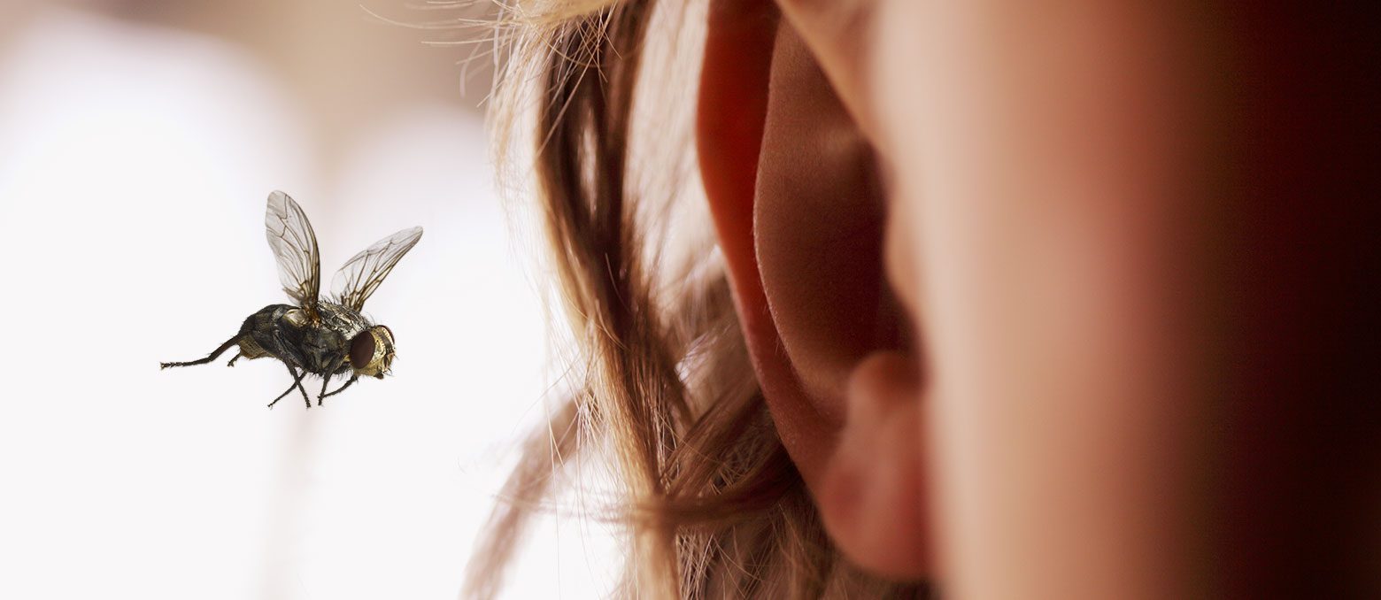 what to do if something enters in your ear
